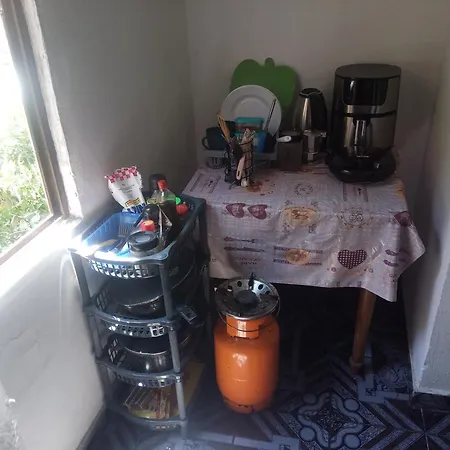 Private In House 17